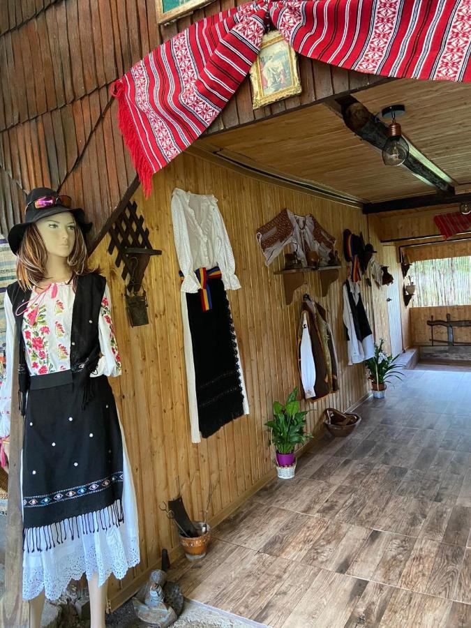 Готель Langa Stana Куртя-де-Арджеш Екстер'єр фото
