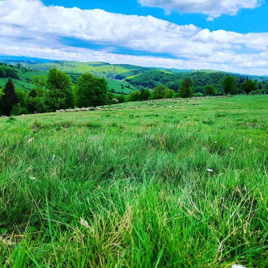 Готель Langa Stana Куртя-де-Арджеш Екстер'єр фото
