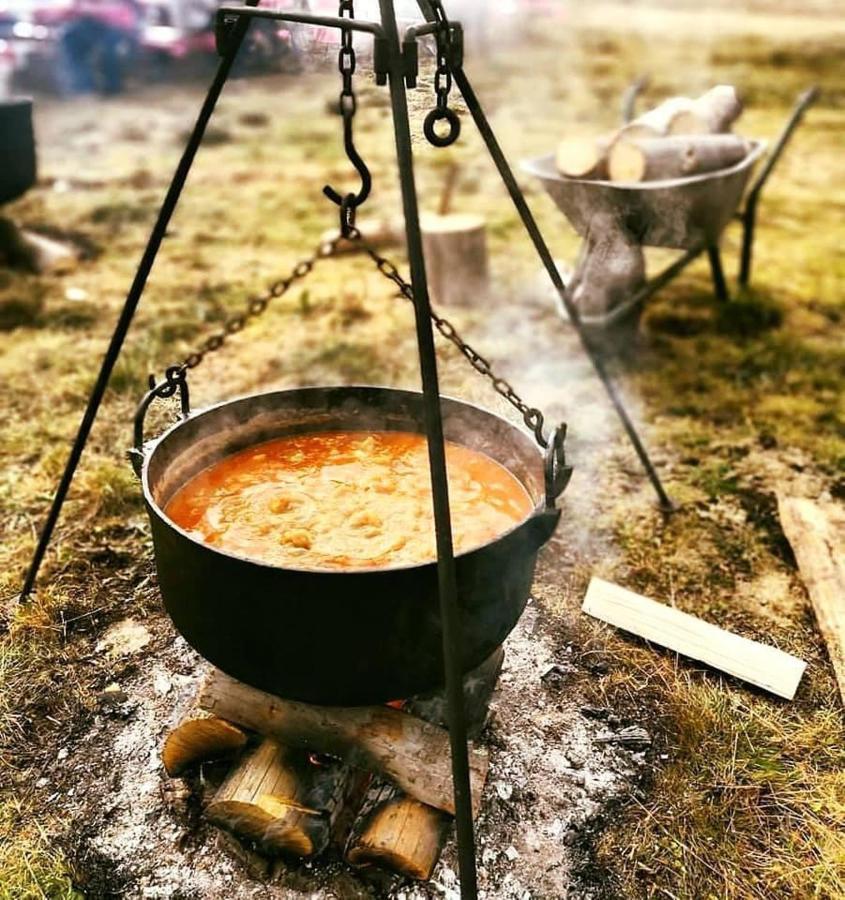 Готель Langa Stana Куртя-де-Арджеш Екстер'єр фото