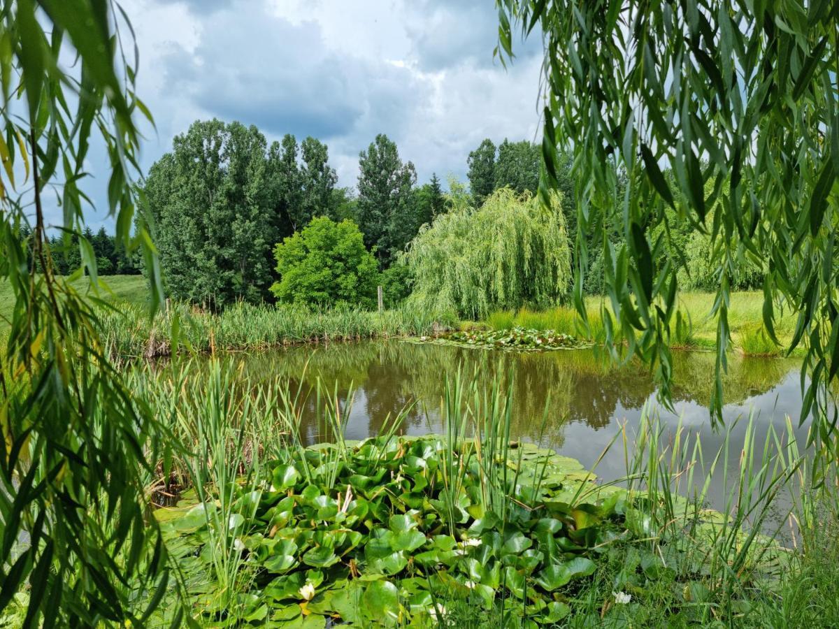 Готель Langa Stana Куртя-де-Арджеш Екстер'єр фото
