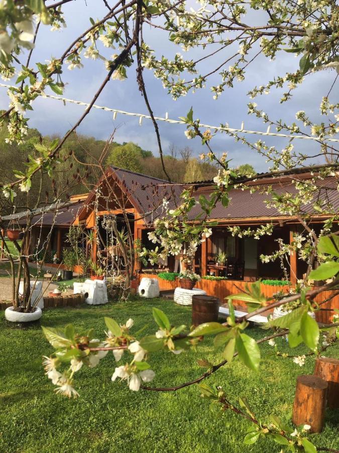 Готель Langa Stana Куртя-де-Арджеш Екстер'єр фото